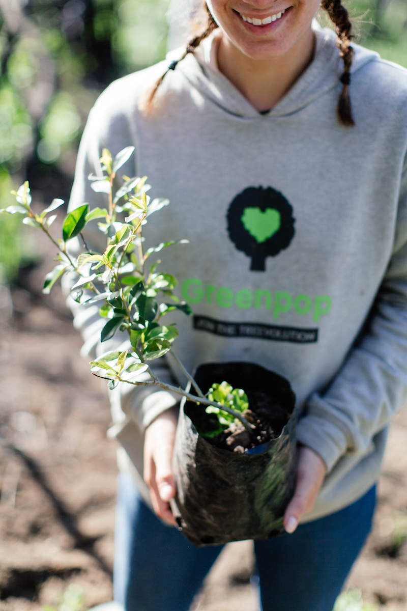 Person holding plant