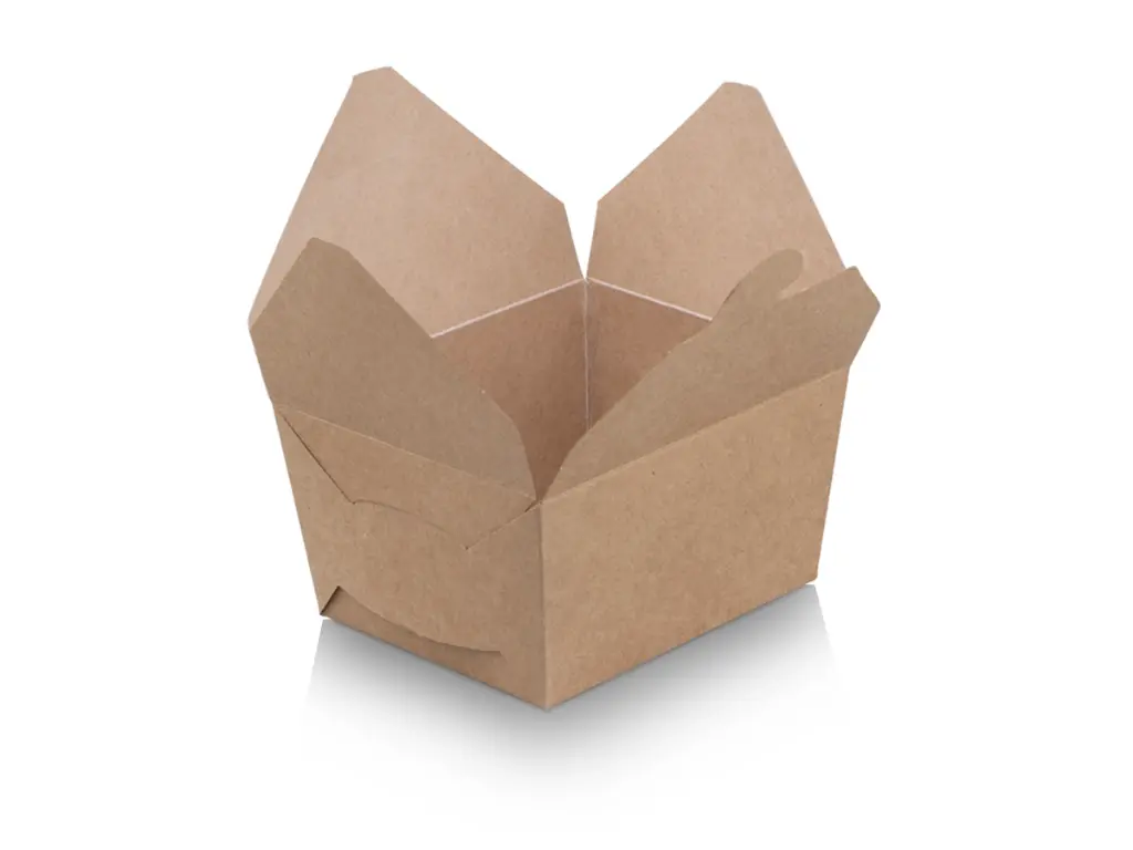 Bio Flat Pack Lunch Box #F1 - Open view.webp