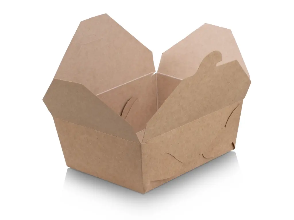 Bio Flat Pack Lunch Box #F8 - Open view.webp