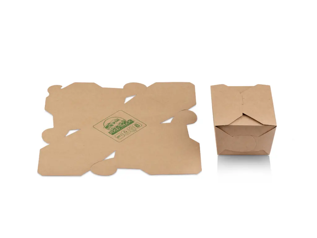 Bio Flat Pack Lunch Box #F1 - Flat and Closed view.webp