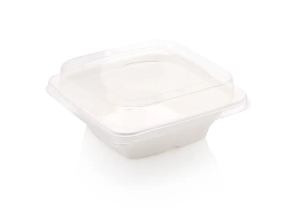 FOOD-BSQ24TH-700ml-2.webp