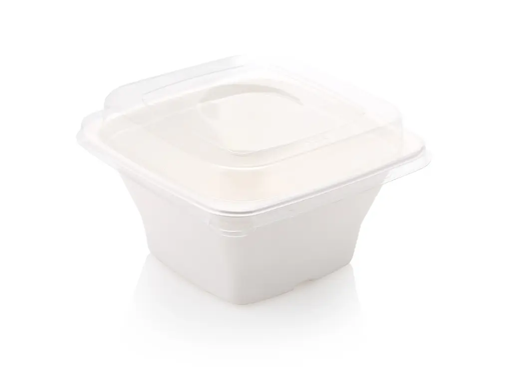 FOOD-BSQ40TH-1200ml-2.webp