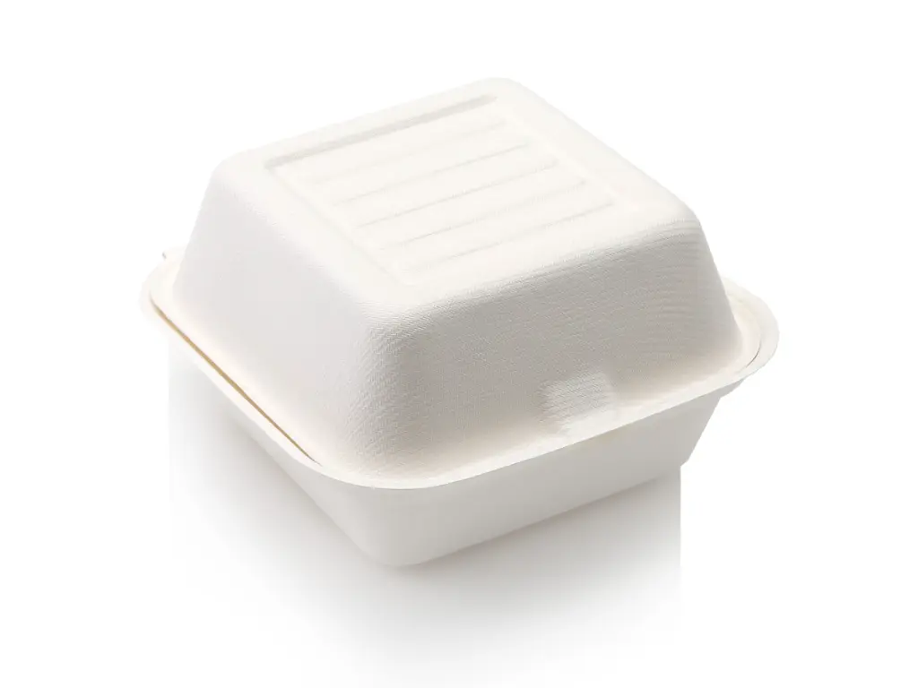 SC-Food-Bur-165G-1-E.webp