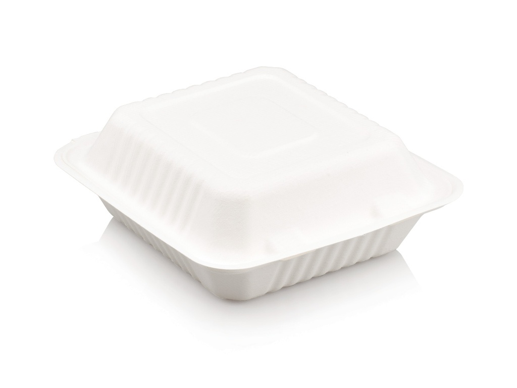 1 L One Compartment Square Gourmet Sugar Cane Lunch Box - Closed view.webp
