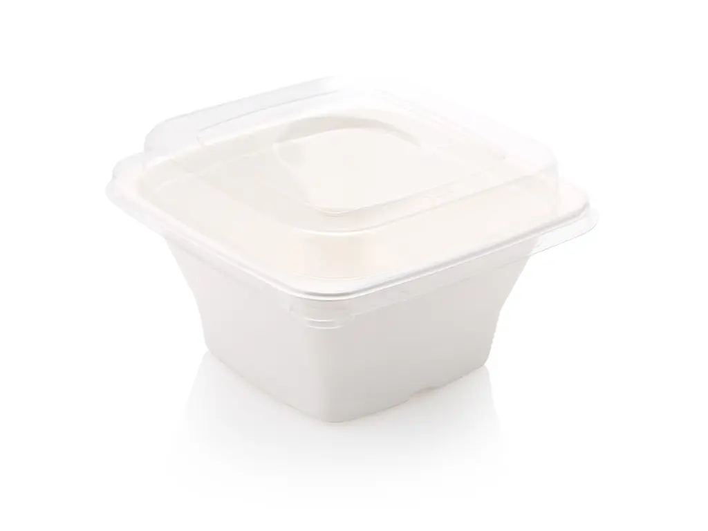 FOOD-BSQ40TH-1200ml-2.webp