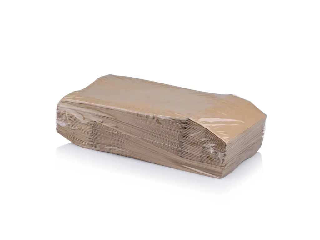 Kraft Paper Bag SO5 - Pk view.webp
