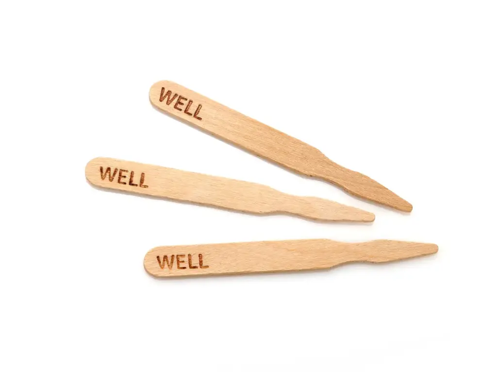 9cm Wooden Steak Pick |  100's 