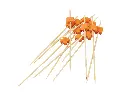 12cm Bamboo Pick - Decorative | 100's