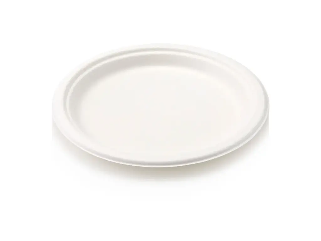 Round Sugarcane Plate 22.8cm