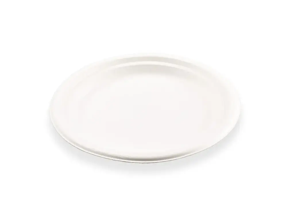 Round Sugarcane Plate (22cm x 19cm) (8.75') - E
