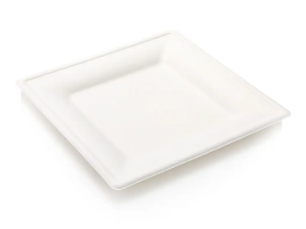 Square Plate - 26cm | Sugarcane | 50's