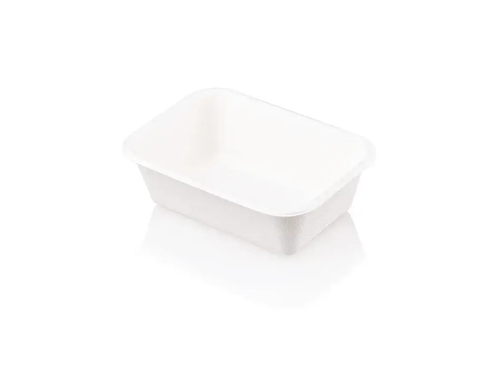 350ml Meal Container | Sugarcane | Rectangle | 100's 
