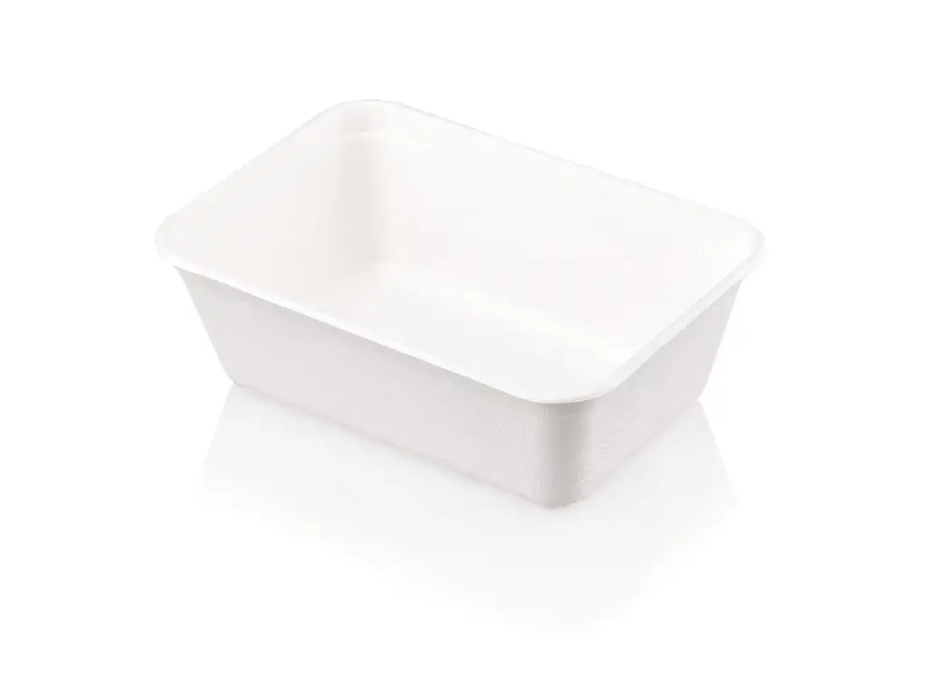 Meal Container: 650ml Sugarcane (Rectangle)