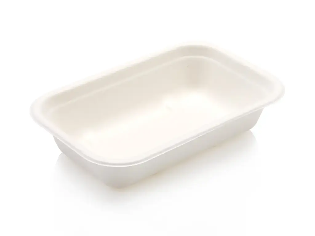 500ml Deli Takeaway Container | Sugarcane | 50's 
