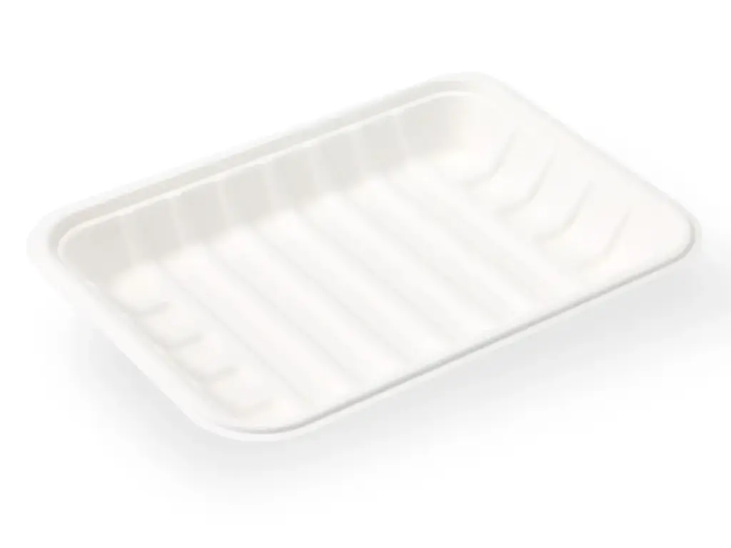 Deli Tray: Sugarcane 24cm x 17.5cm (Small) (50's) 