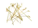 18cm Bamboo Skewer | Knotted | 100's 