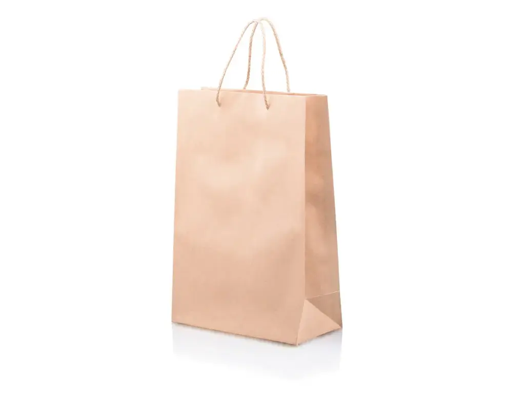 Carry Bag: Paper Shopper Bag (LONG) with Handle - Large  (36x25+13cm)