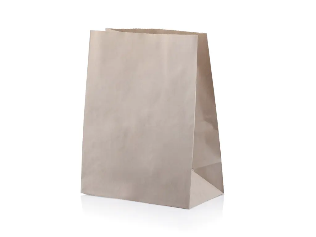 SO40 Kraft Paper Bag | 28 x 36 x 15cm | 50's - CCP