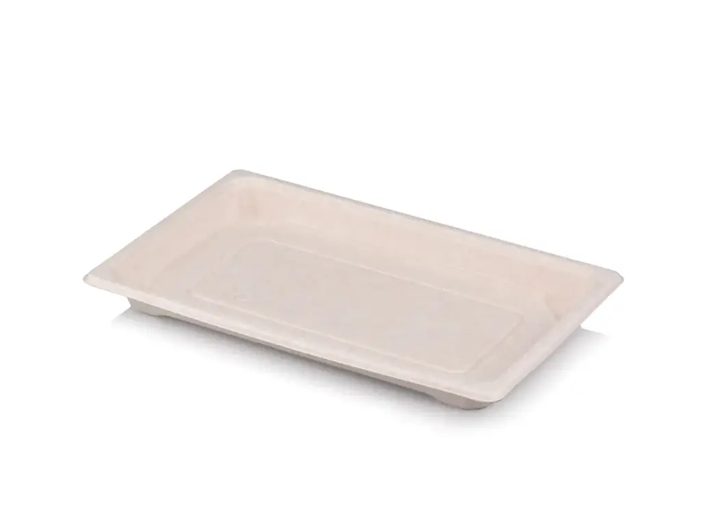 Sushi Tray | Medium (21.7cm x 13.6cm) | Sugarcane | 100s
