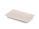 Sushi Tray | Medium (21.7cm x 13.6cm) | Sugarcane | 100s