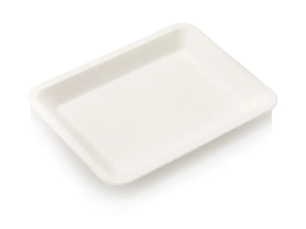 Deli Tray - 20cm x 15cm | Sugarcane | Small | 50's - E