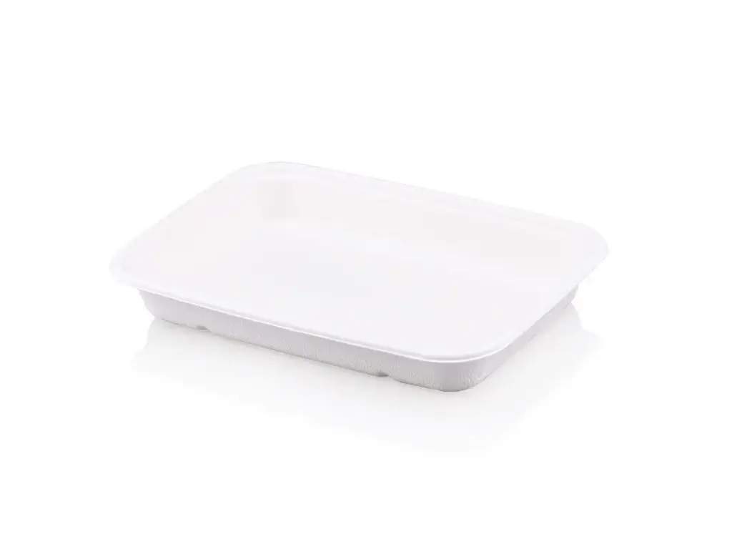 Deli Meal Container: Sugarcane - 500ml