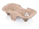 Carry Tray - Pulp  - 2 Cup (60's) 