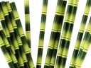 Straw: Paper Straws - 6mm UNWrapped (25's)